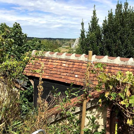La Maison Bleue De Husseau Ancienne Ferme Semi-Troglodytique 18E Siecle Vila Montlouis-sur-Loire Exterior foto